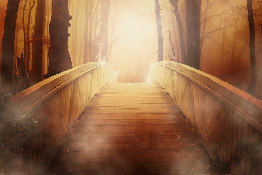 bridge, forest, fantasy-19513.jpg